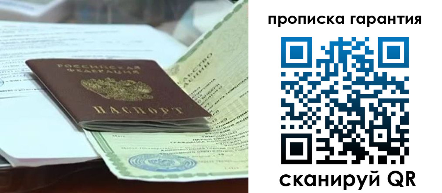 прописка гарантия в Ногинске